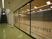 Glasprallwand zwischen Gang und Sporthalle mit Blick in die Sporthalle